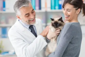 Veja como a castração ajuda a prevenir o câncer de mama em gatas