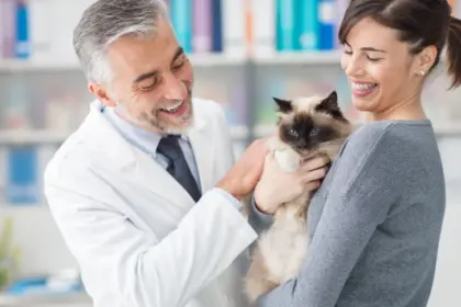 Veja como a castração ajuda a prevenir o câncer de mama em gatas