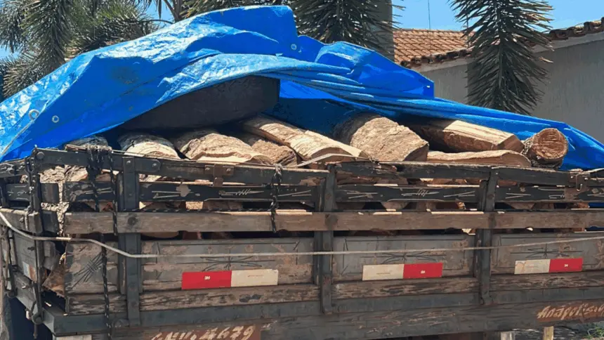 PCGO localiza e apreende caminhão com madeira ilegal após denúncia anônima em Jaraguá – Policia Civil do Estado de Goiás