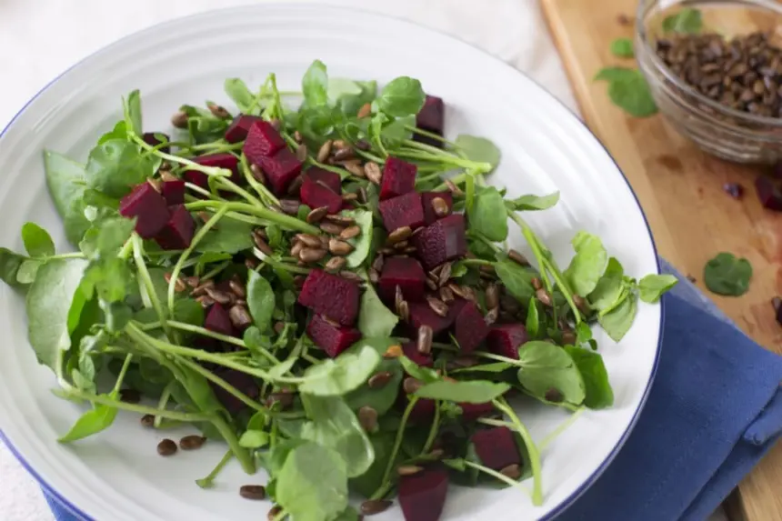 Almoço saudável: 4 receitas com agrião para fortalecer a imunidade Almoço saudável: 4 receitas com agrião para fortalecer a imunidade