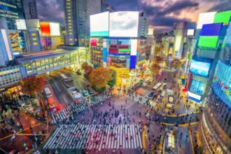 Roteiro em Tóquio: veja o que fazer, comer e comprar na capital do Japão