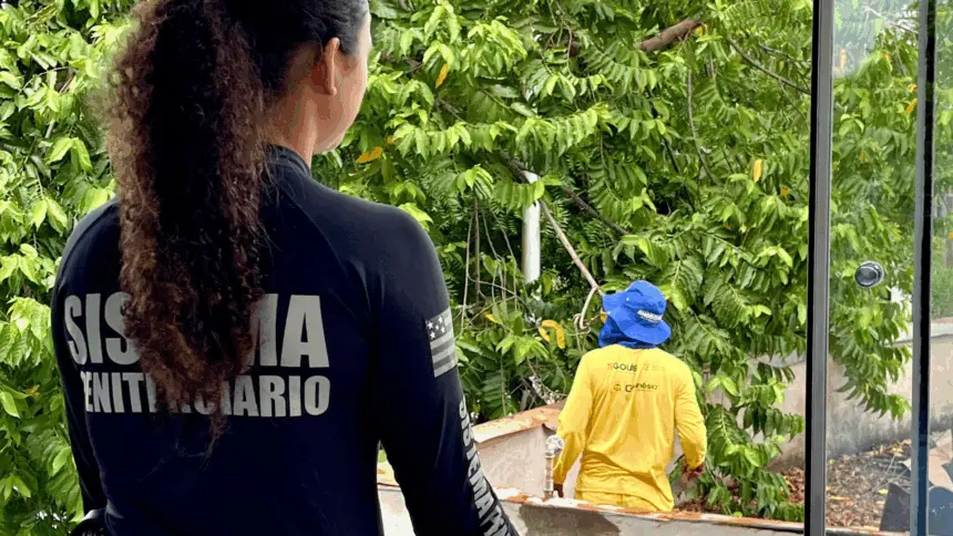 Reeducandos ajudam a revitalizar prédios públicos em ação conjunta da Prefeitura de Goianésia e Polícia Penal Reeducandos ajudam a revitalizar prédios públicos em ação conjunta da Prefeitura de Goianésia e Polícia Penal