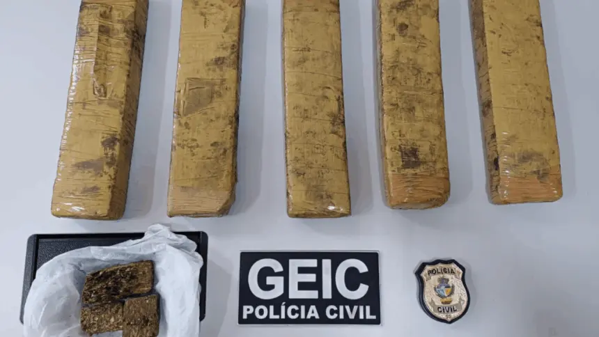 PCGO localiza imóvel utilizado como depósito e apreende drogas em Formosa – Policia Civil do Estado de Goiás PCGO localiza imóvel utilizado como depósito e apreende drogas em Formosa – Policia Civil do Estado de Goiás