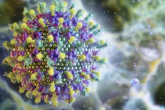Nipah: saiba mais sobre o vírus que preocupa a Ásia