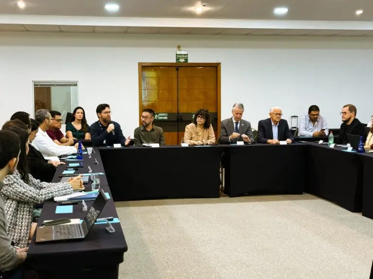 Semad cria grupos de trabalho para avaliar impactos da mineração Semad cria grupos de trabalho para avaliar impactos da mineração