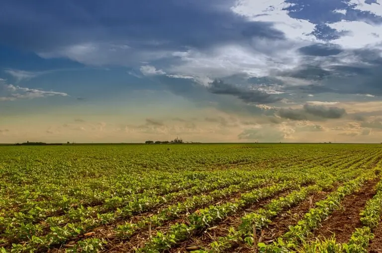 Pesquisa do Goiás Verde aponta que agro goiano pode ser sustentável Pesquisa do Goiás Verde aponta que agro goiano pode ser sustentável