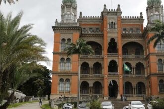 Hospitalizações por Influenza A têm aumentado no país, informa Fiocruz