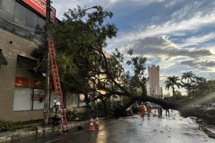 Goiás deve enfrentar sequência de temporais com raios e ventos fortes
