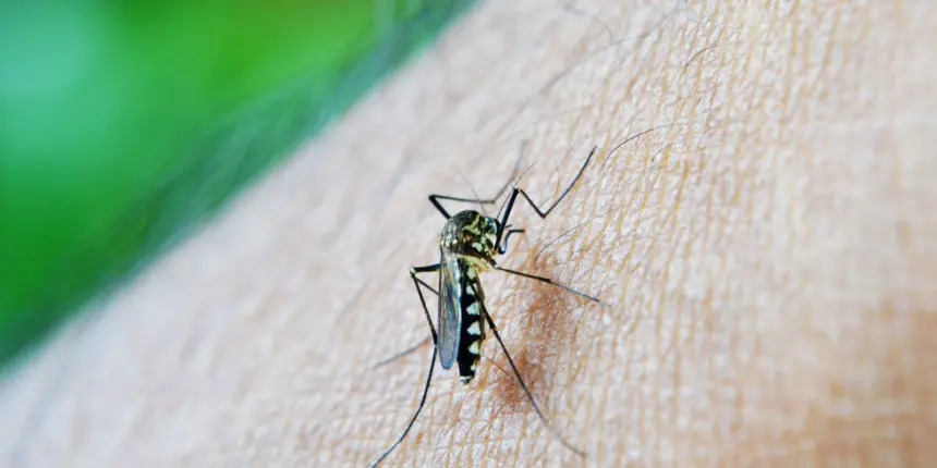 Estudo alerta para relação da dengue com a Síndrome de Guillain-Barré Estudo alerta para relação da dengue com a Síndrome de Guillain-Barré