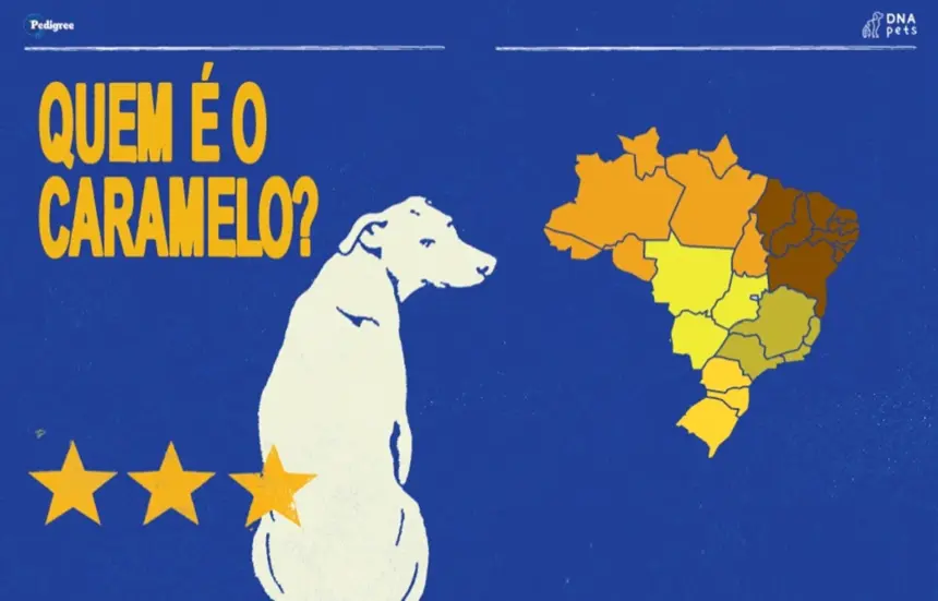 Entre fazendas e cidades, caramelo da região Centro-Oeste carrega forte herança de cães de pastoreio, revela estudo de PEDIGREE® Entre fazendas e cidades, caramelo da região Centro-Oeste carrega forte herança de cães de pastoreio, revela estudo de PEDIGREE®