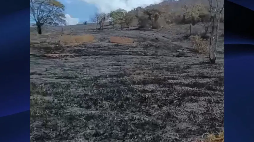 Bombeiros controlam incêndio florestal que atingiu 182 hectares em Goianésia Bombeiros controlam incêndio florestal que atingiu 182 hectares em Goianésia