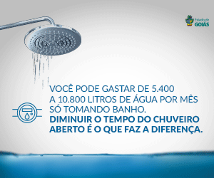Abrir goias.gov.br