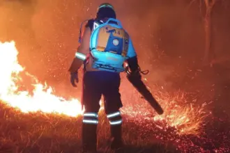 Bombeiros combatem incêndio de grandes proporções em fazenda de Goianésia