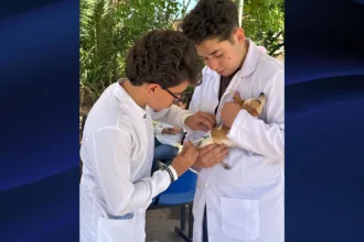 Campanha de vacinação contra a raiva é sucesso e imuniza mais de 8.700 mil animais em Goianésia