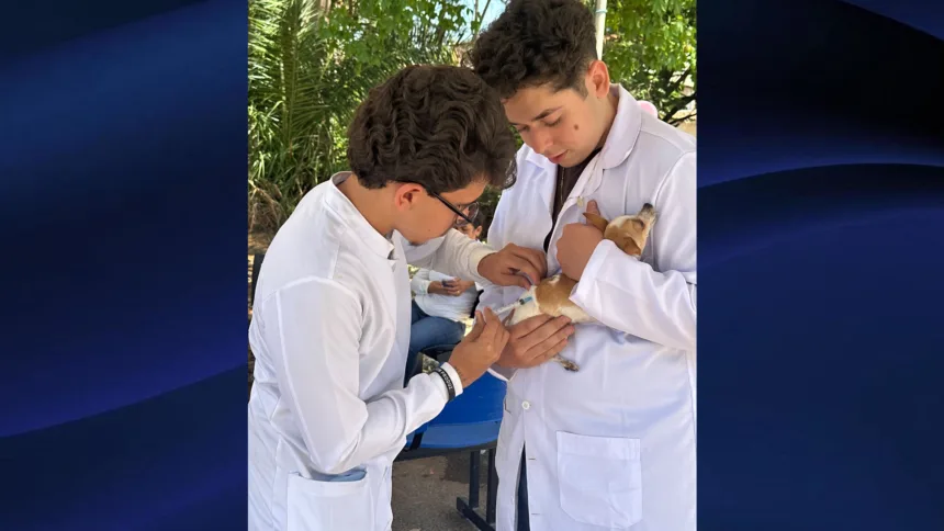 Campanha de vacinação contra a raiva é sucesso e imuniza mais de 8.700 mil animais em Goianésia
