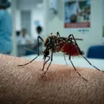 Dengue tipo 3 e instabilidade climática elevam risco de surto em Goiás
