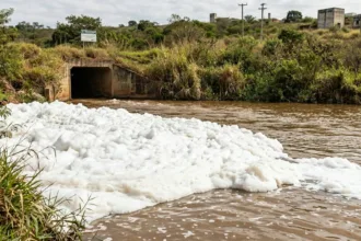 Espuma em trecho do Rio das Antas gera alerta sobre qualidade da água em Anápolis