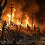 Fogo em vegetação do DAIA mobiliza trabalhadores e equipes de combate em Anápolis