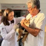 Goianésia realiza vacinação contra a raiva para cães e gatos neste sábado