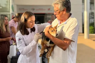 Goianésia realiza vacinação contra a raiva para cães e gatos neste sábado