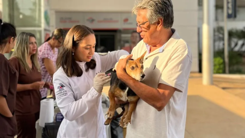 Goianésia realiza vacinação contra a raiva para cães e gatos neste sábado Goianésia realiza vacinação contra a raiva para cães e gatos neste sábado