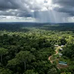 Governo federal autoriza captação de 1 bilhão de dólares junto ao BID para o Eco Invest Brasil