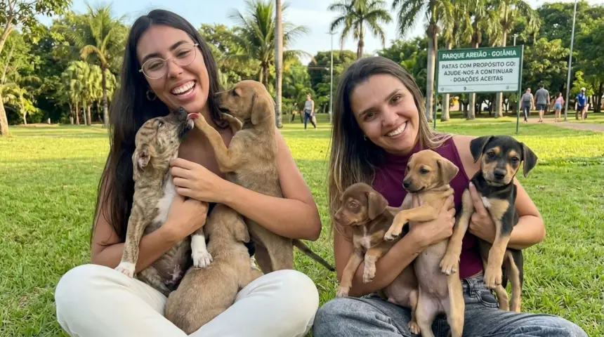 Grupo de proteção animal em Goiânia enfrenta crise financeira e risco de encerramento Grupo de proteção animal em Goiânia enfrenta crise financeira e risco de encerramento