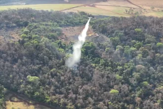 Incêndio de grandes proporções atinge serra da Usina em Goianésia