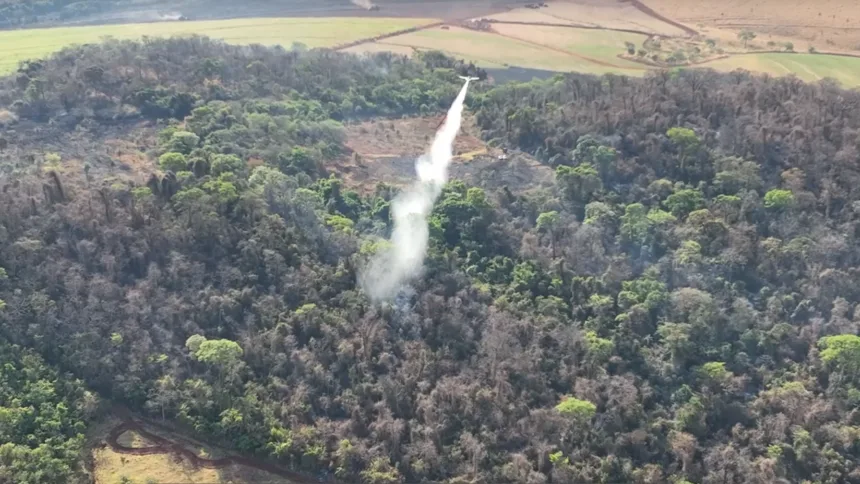 Incêndio de grandes proporções atinge serra da Usina em Goianésia Incêndio de grandes proporções atinge serra da Usina em Goianésia