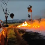 Incêndio queima 35 alqueires e mobiliza Bombeiros por quase 10 horas em Santa Rita do Novo Destino