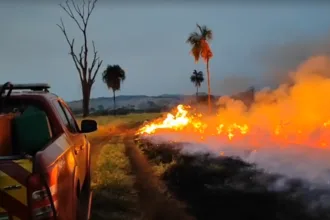 Incêndio queima 35 alqueires e mobiliza Bombeiros por quase 10 horas em Santa Rita do Novo Destino