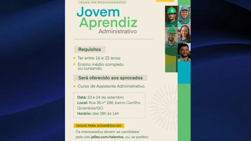 Jalles e Senar abrem 40 vagas para jovens aprendizes na área administrativa em Goianésia Jalles e Senar abrem 40 vagas para jovens aprendizes na área administrativa em Goianésia