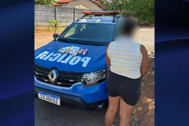 Mulher é presa após furto de produtos de beleza em estabelecimento comercial de Goianésia