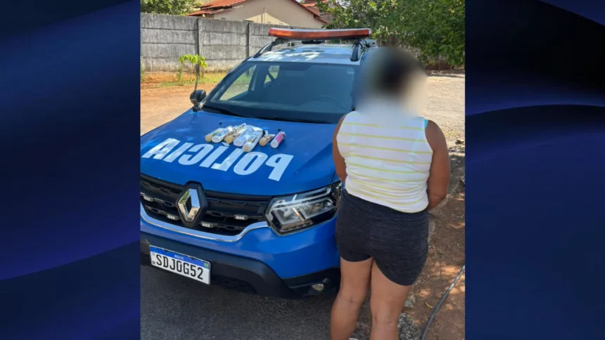 Mulher é presa após furto de produtos de beleza em estabelecimento comercial de Goianésia