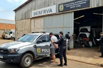 Operação policial desarticula esquema de desmanche de caminhonetes em Goiás