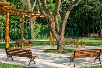 Parque das Laranjeiras celebra cinco décadas de história em Goiânia