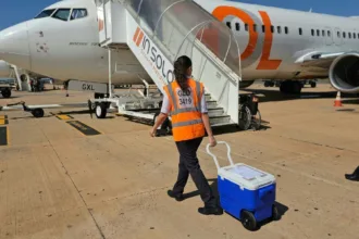Rim de bebê de 29 dias é transportado em Goiânia para transplante inédito