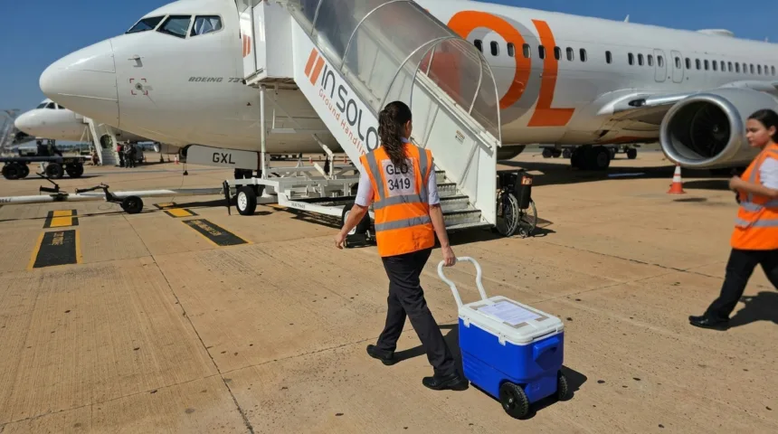 Rim de bebê de 29 dias é transportado em Goiânia para transplante inédito