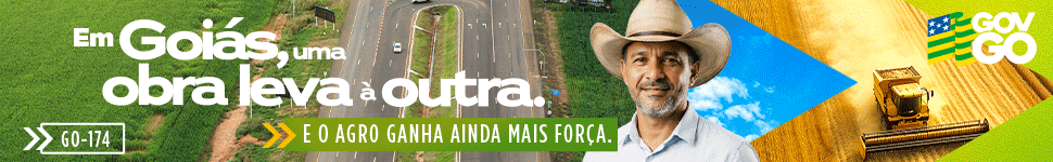Abrir goias.gov.br