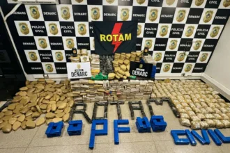Apreensão recorde de 800 kg de drogas em Goiânia resulta em prisão