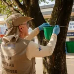 Baldinhos verdes surgem em árvores e ruas de Anápolis para combater arboviroses