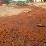 Bombeiros Goianésia combatem derramamento de óleo hidráulico no Bairro Dona Fiica