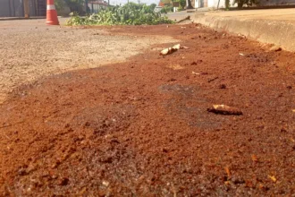 Bombeiros Goianésia combatem derramamento de óleo hidráulico no Bairro Dona Fiica