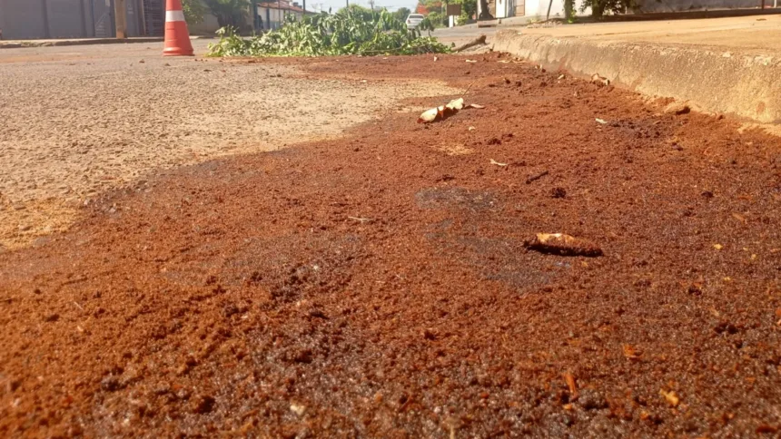 Bombeiros Goianésia combatem derramamento de óleo hidráulico no Bairro Dona Fiica