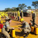 Brigadistas combatem 11 focos de incêndio em parques e áreas verdes de Goiânia