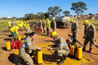 Brigadistas combatem 11 focos de incêndio em parques e áreas verdes de Goiânia