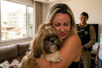 Cadela cega desaparecida no Setor Bueno é encontrada em Goiânia