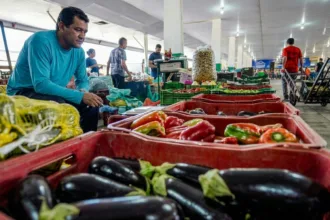 Campanha nacional mobiliza sociedade contra o desperdício de alimentos