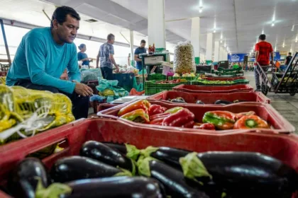 Campanha nacional mobiliza sociedade contra o desperdício de alimentos