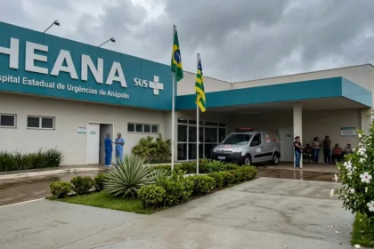 Ex-policial militar de 90 anos falece no Heana após colisão na BR-153 em Anápolis
